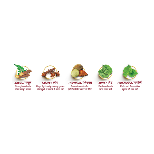 Dabur Babool Ayurvedic Toothpaste 175 g view 3