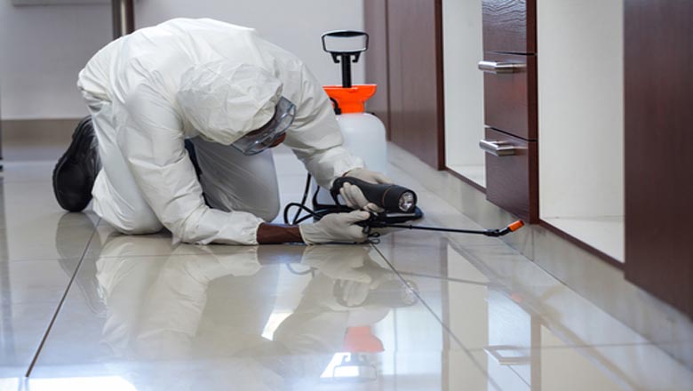 Termite Control