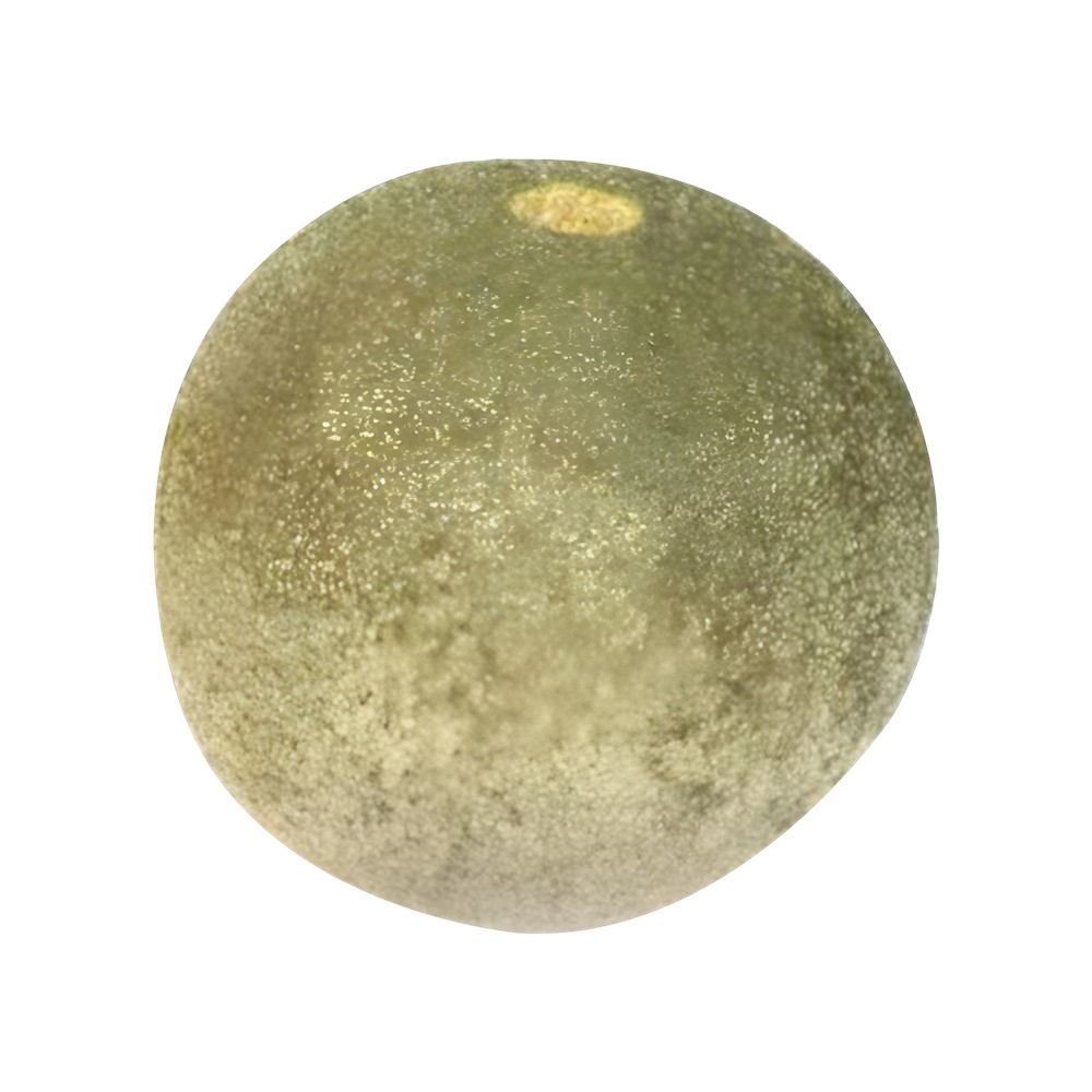 Bel (wood apple) 1 piece (400 - 600 g)