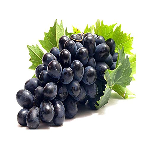 Grapes black 500 g