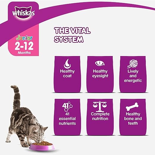 Whiskas Dry Cat Food For Mother & Kitten - Junior Ocean Fish 450 g view 5